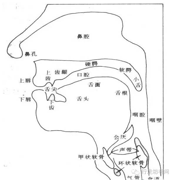 ‘澳门新葡8455最新网站下载’《元气少女缘结神》完结在即 